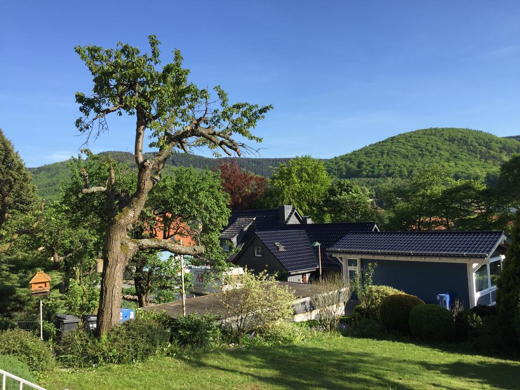 Ferienhaus Goethestrasse Bad Harzburg Zewnętrze zdjęcie